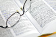 Fremdwörterbuch und Brille