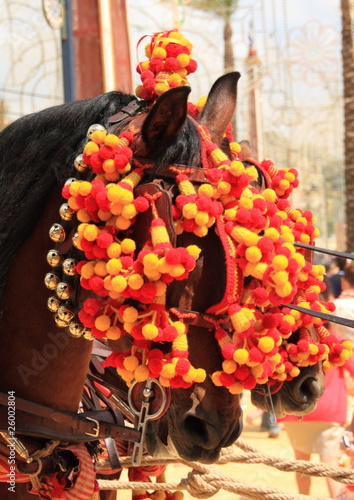 Photo: Dos caballos en la Feria de Jerez Dos caballos en la Feria de Jerez