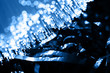 Fiber optics background with lots of light spots Fiber optics background with lots of light spots