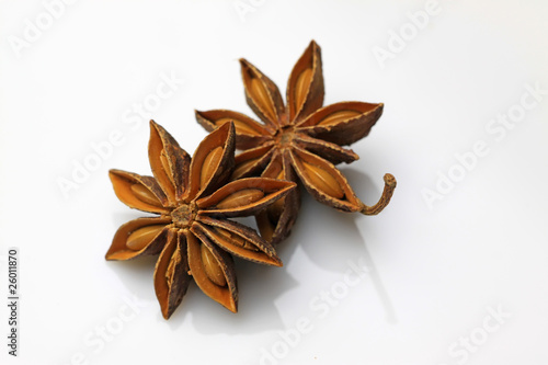 Photo: aniseed aniseed