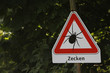 Vorsicht Zecken!
