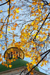 Kyiv city scene
