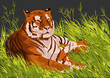 vector tiger vector tiger
