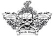 Skull Design 36