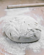 Pane