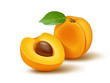 Apricot 3