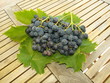 RECOLTE DU RAISIN