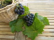 PANIER DE RAISIN
