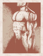 Sketch of a muscular man on a water colour paper.