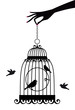hand with birdcage, vector
