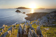 irish west coast