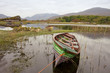 boats in killarney national park