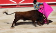 corrida corrida