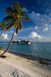 Maldivian Beach