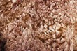 Hintergrund textur