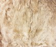 Hintergrund textur