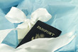 Gift of Travel, An Elegant Choice