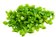 Cut green onion isolated on the white background Cut green onion isolated on the white background