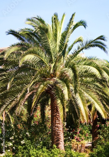 Photo: Palmengarten Palmengarten