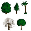 collection of vector illustration trees