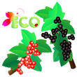 früchte - blätter - eco