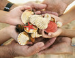 Family holding assortment of shells
