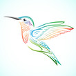 colorful hummingbird