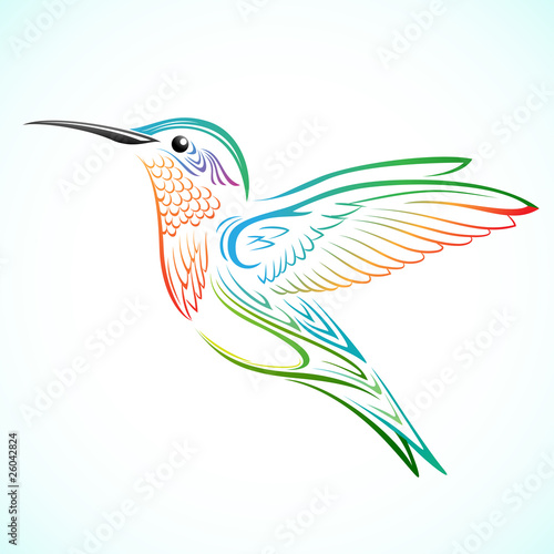 Vector: colorful hummingbird colorful hummingbird