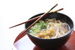 Japanese Udon noodles Japanese Udon noodles