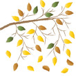 Branch with autumn leaves Branch with autumn leaves