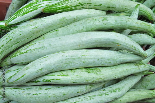 Photo: snake gourd fruit in the market snake gourd fruit in the market