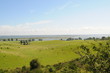 Hiddensee11