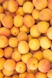 apricot, market-place