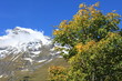 Großglockner1