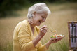 A senior woman sitting on the grass, eating