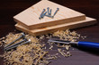 Wood shavings