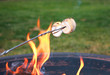 Roasting marshmallows