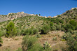 The castle of Xativa (Spain) The castle of Xativa (Spain)