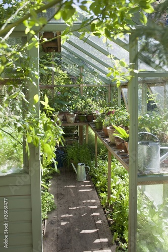 Photo: View into sunlit greenhouse View into sunlit greenhouse