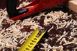 Shavings of wood