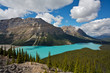 Peyto Lake, Banff National Park