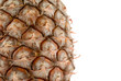 Pineapple Pineapple
