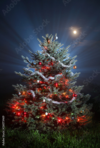Photo: Christmas scenic photo Christmas scenic photo
