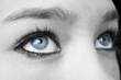Female blue eyes Female blue eyes