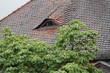 roof window arch behind trees