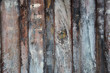 vieilles planches vieilles planches