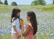 Mother and daughter in field of wildflowers