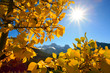 Mount Lougheed in the autumn
