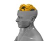 human gearhead