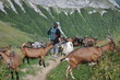 bergère  avec ses chèvres